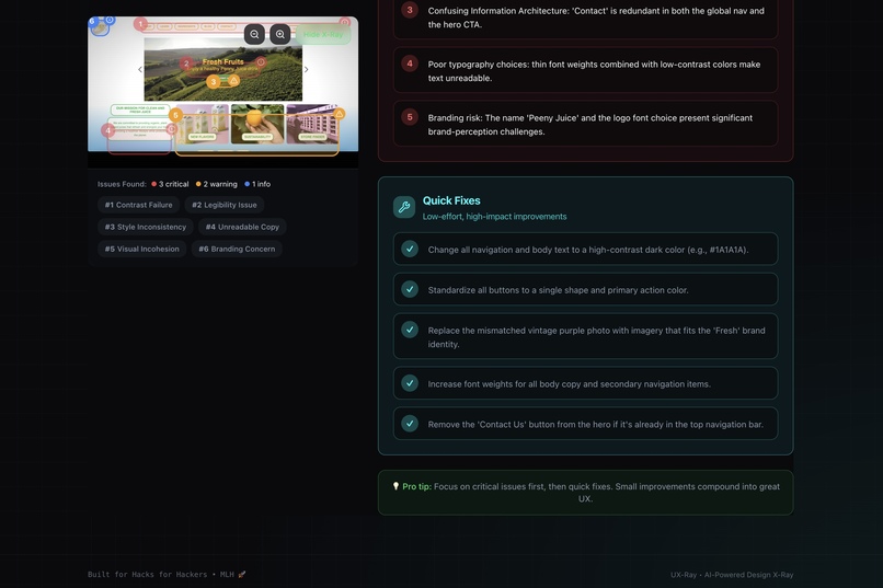 UX-Ray – screenshot 8