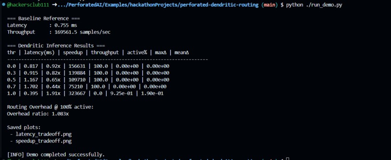 Perforated Dendritic Routing : Efficient  Computation – screenshot 1