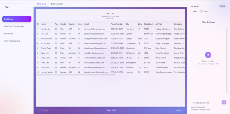 DataSage – screenshot 1
