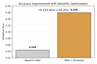 Perforated-MONAI: Dendritic Optimization 