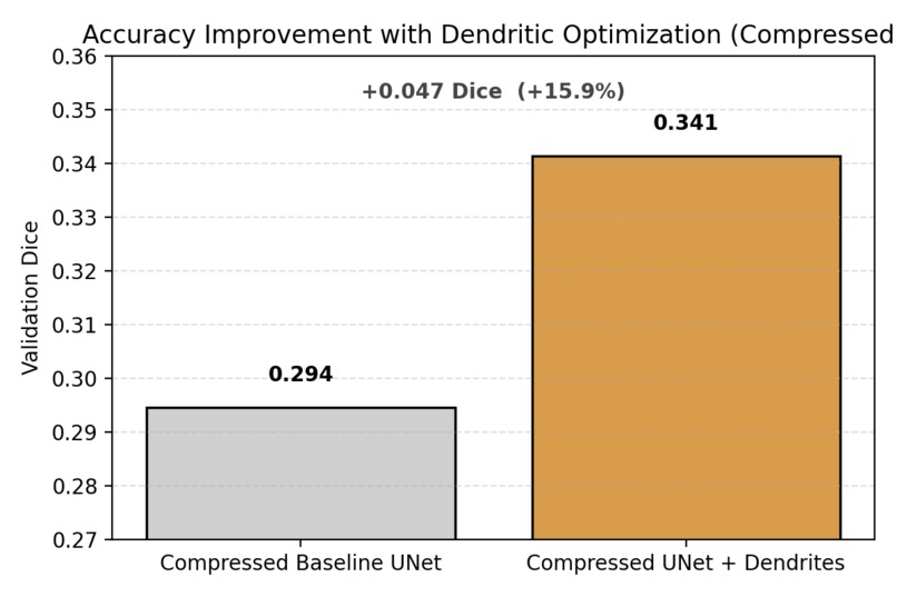 Perforated-MONAI: Dendritic Optimization  – screenshot 2