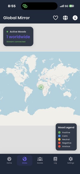 Echo Mirror Butler – screenshot 11
