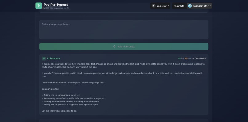 payperprompt – screenshot 7