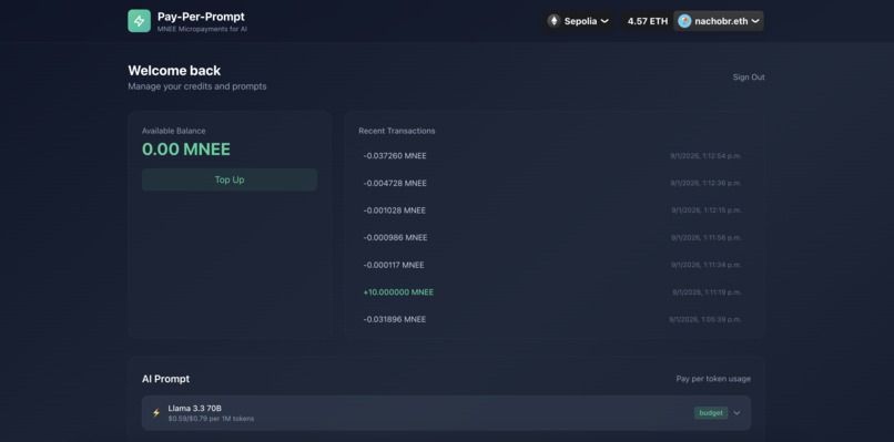payperprompt – screenshot 9