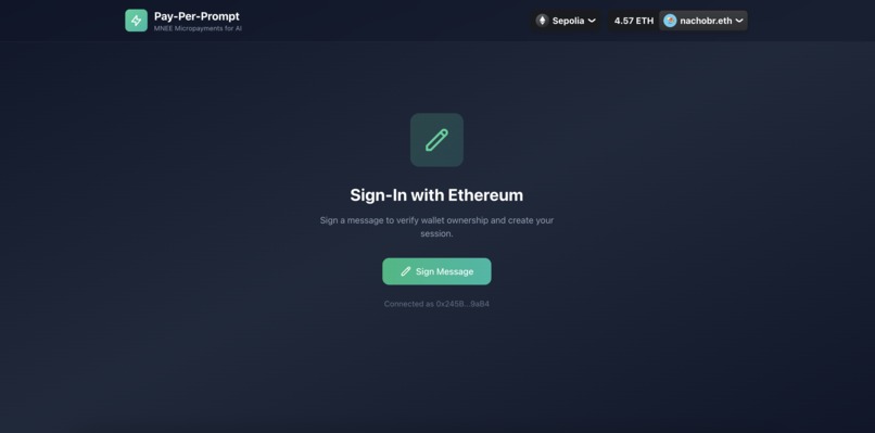 payperprompt – screenshot 10