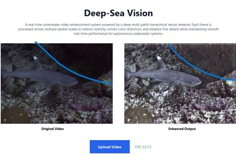 Dive Deeper with Real-Time Underwater Enhancement