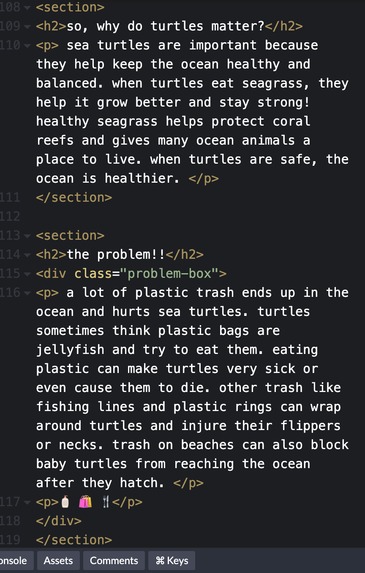 SAVE THE TURTLES – screenshot 2