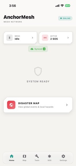 AnchorMesh – screenshot 1