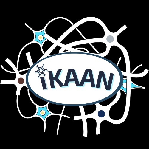 iKAAN – screenshot 1
