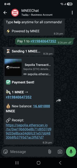 MNEEChat – screenshot 1