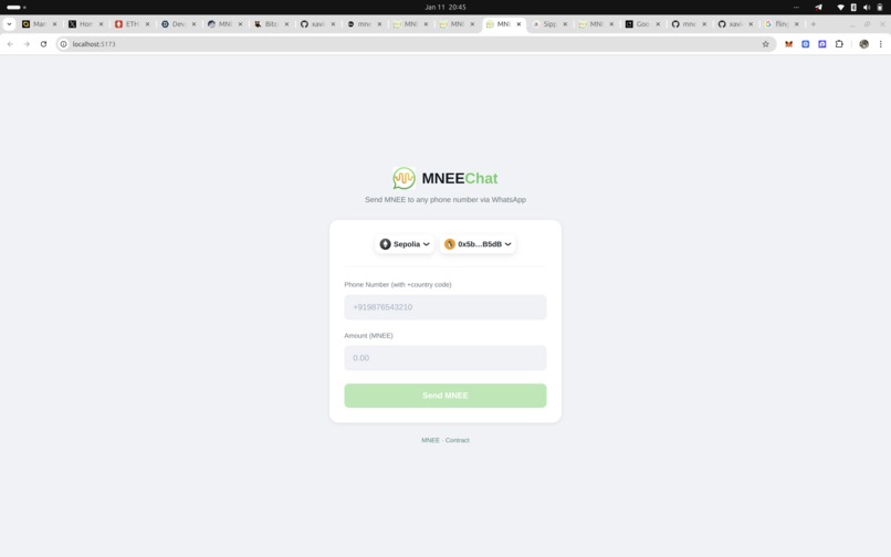 MNEEChat – screenshot 2