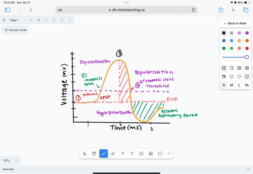 Alloy – screenshot 3