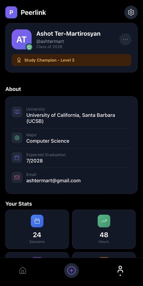 Peerlink – screenshot 4