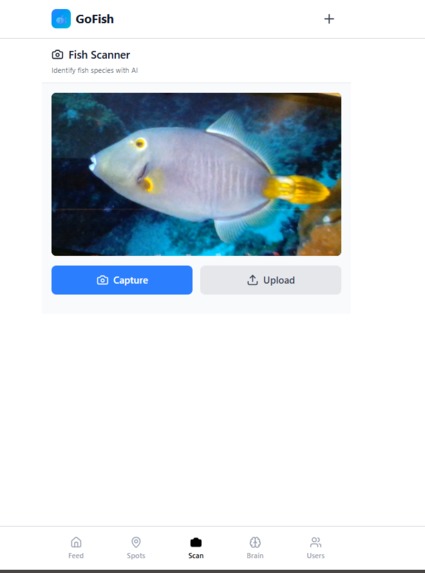 GoFish – screenshot 3