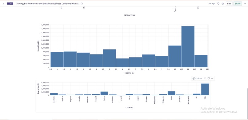Turning E-Commerce Sales Data into Business Decision with AI – screenshot 1