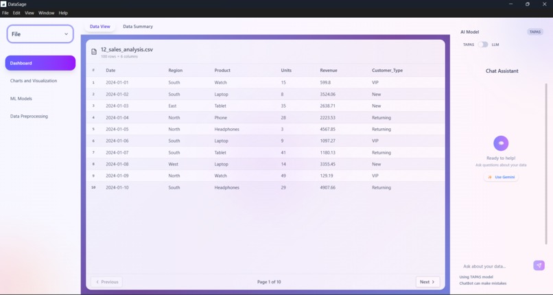 DataSage – screenshot 1