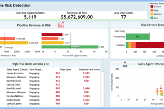 Salesforce Pipeline Risk Detection Dashboard