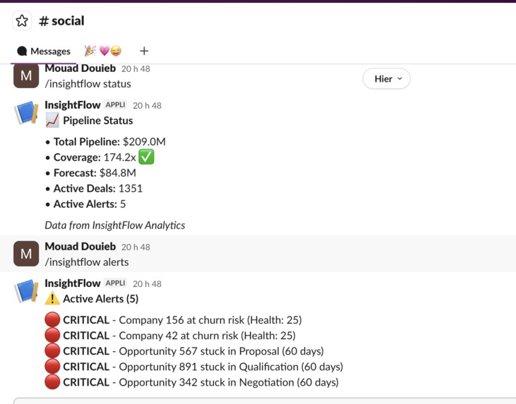 InsightFlow – screenshot 2