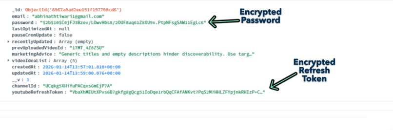 SEOTube – screenshot 15