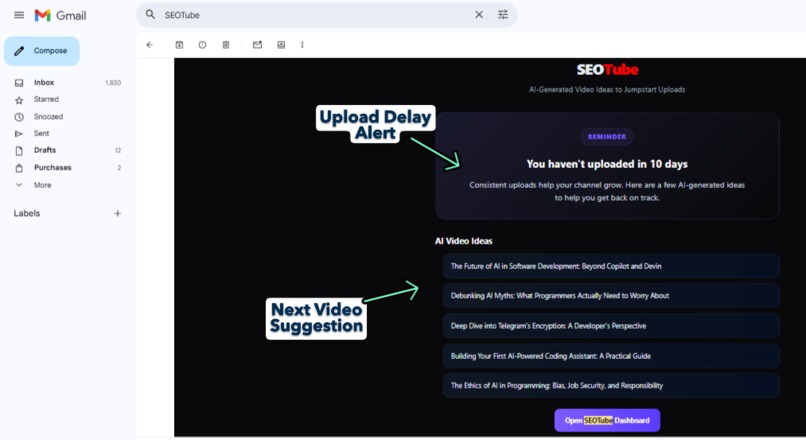 SEOTube – screenshot 13