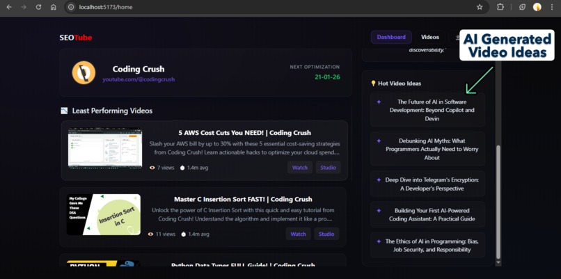 SEOTube – screenshot 7