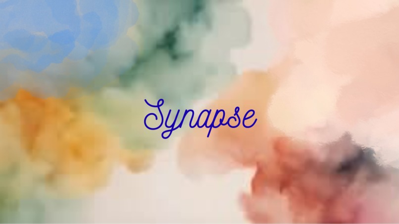 Synapse – screenshot 1