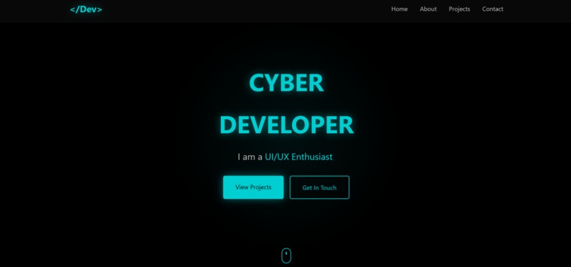 Portfolio  – screenshot 1