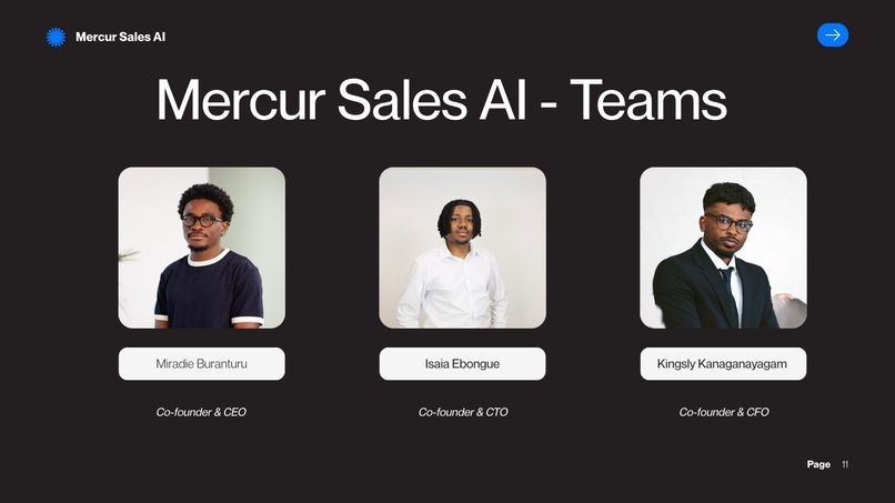 Mercure Sales AI – screenshot 23