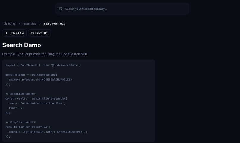 CodeSearch – screenshot 1