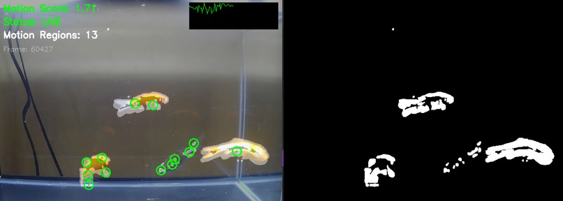 FishEncrypt – screenshot 1