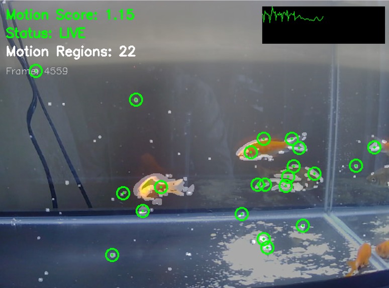 FishEncrypt – screenshot 2