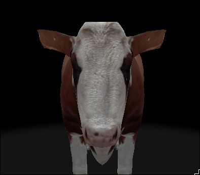 What the cow doing!? – screenshot 1