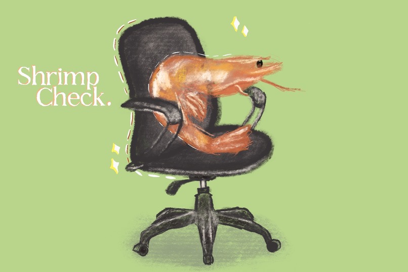 Shrimp Check – screenshot 1