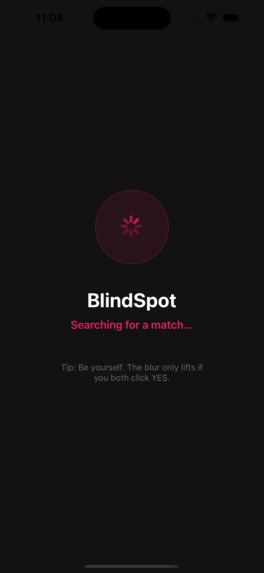 BlindSpot – screenshot 3