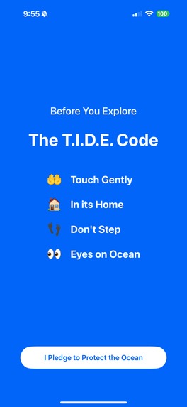 Tide Party – screenshot 10