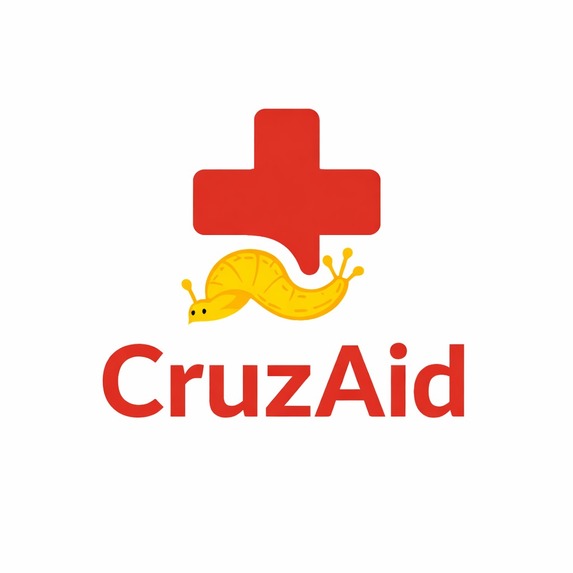 CruzAid – screenshot 3