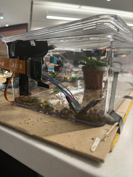 Plante – screenshot 2