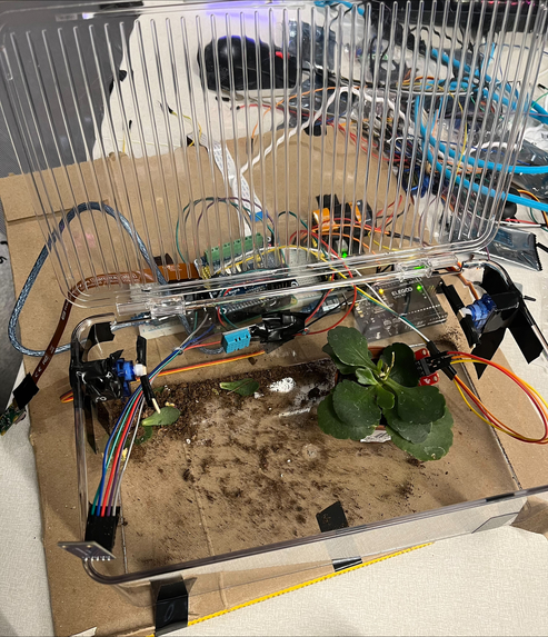 Plante – screenshot 3