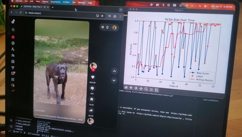 Impartial Prejudice – screenshot 2