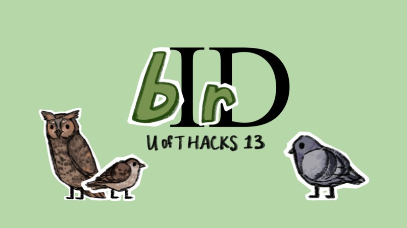 bIrD – screenshot 1