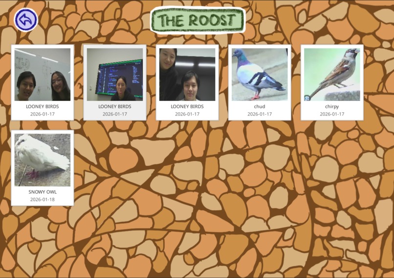 bIrD – screenshot 4