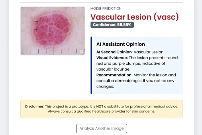 DermaSkinAI – screenshot 2