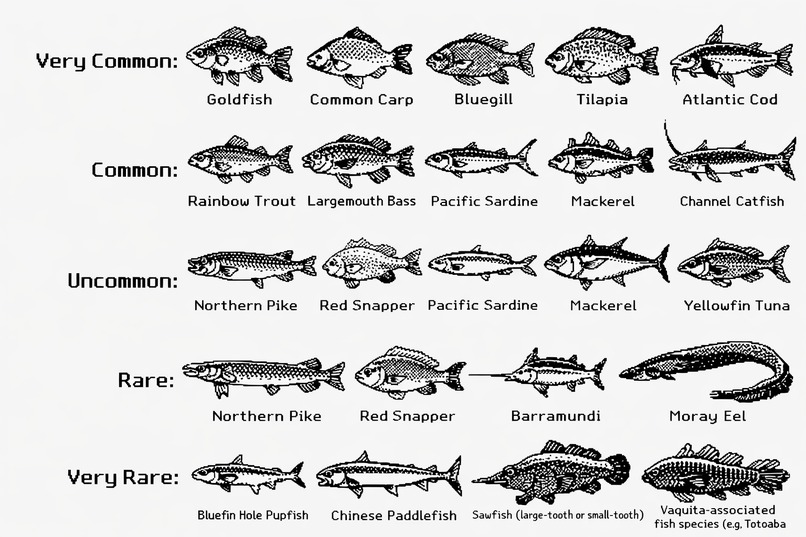 uOttaPhish – screenshot 2