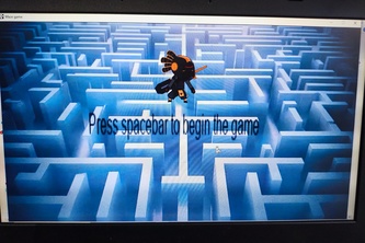 Zak's maze madness