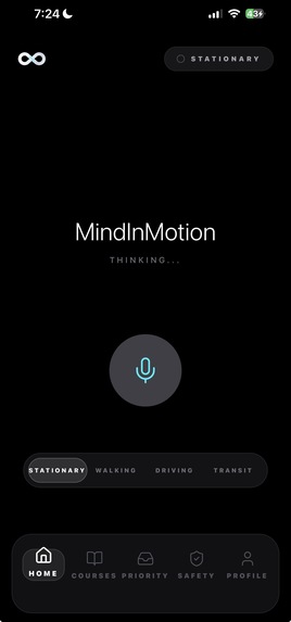 Mind In Motion  – screenshot 1