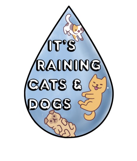 It's Raining Cats and Dogs! – screenshot 1