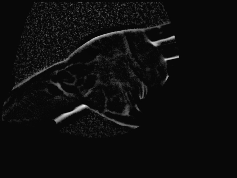 HemiSec – screenshot 4
