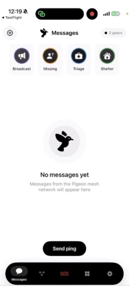 Pigeon – screenshot 2