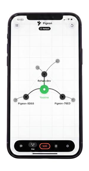 Pigeon – screenshot 3