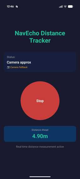 Navecho – screenshot 1